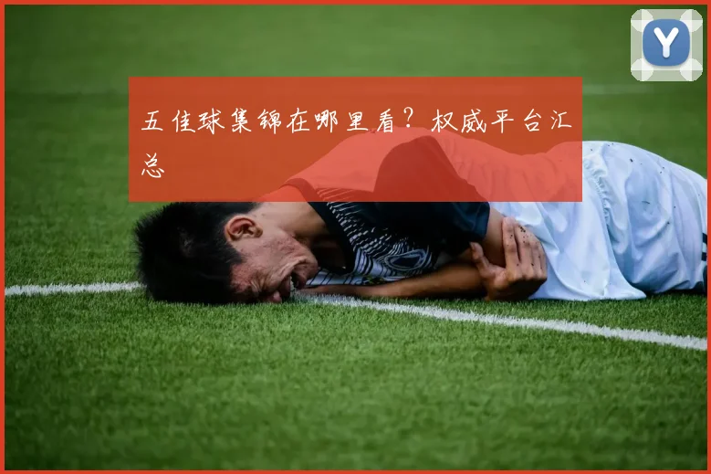 五佳球集锦在哪里看?权威平台汇总