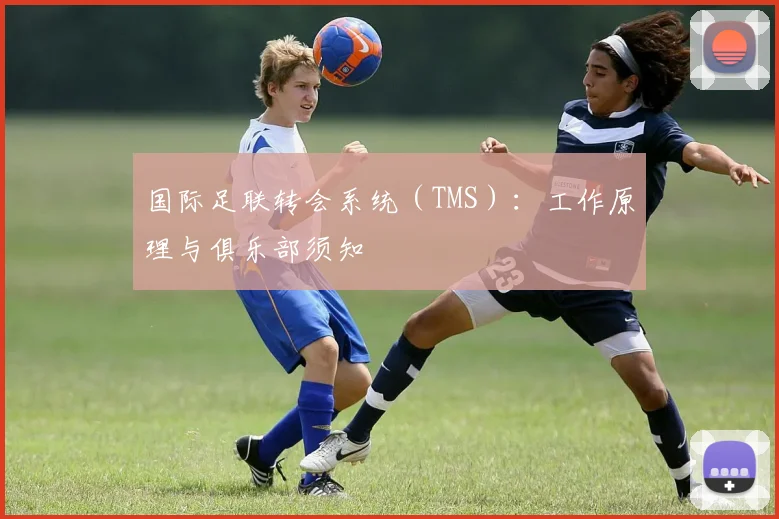 国际足联转会系统(TMS):工作原理与俱乐部须知