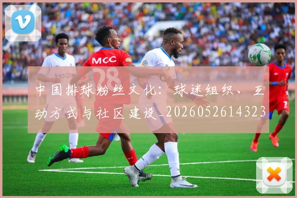 中国排球粉丝文化:球迷组织、互动方式与社区建设_20260526143235