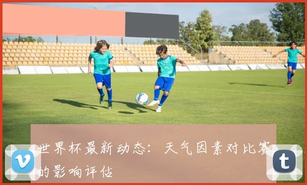 世界杯最新动态:天气因素对比赛的影响评估