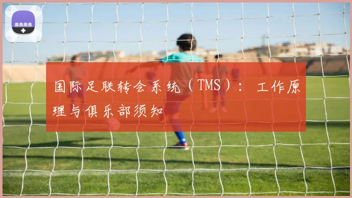国际足联转会系统（TMS）：工作原理与俱乐部须知