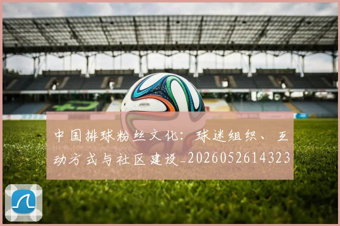 中国排球粉丝文化：球迷组织、互动方式与社区建设_20260526143235
