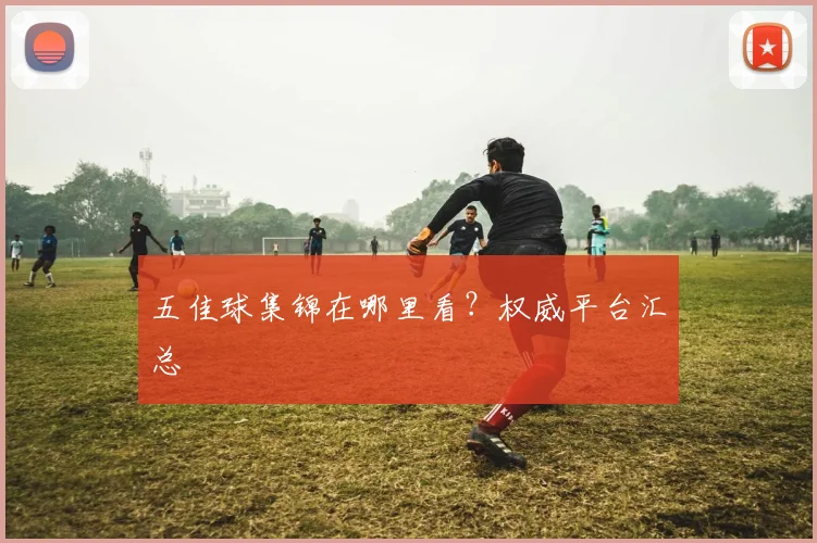 五佳球集锦在哪里看？权威平台汇总